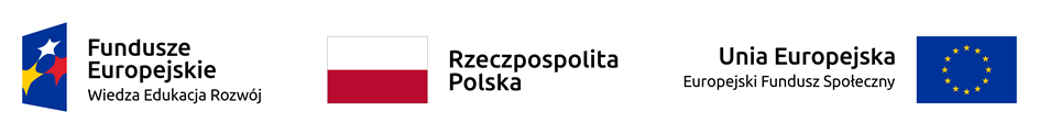 Logotypy UE, Flaga Polski